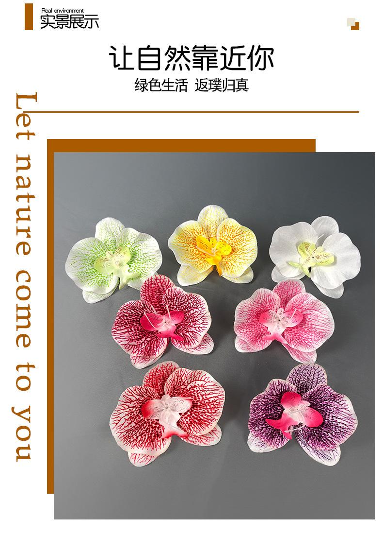 微信图片_202306201119156
