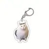 Chaveiro Acrílico Gato Banana Feliz Gato Feliz Transfronteiriço Chaveiro Emoji Cabeça de Gato Comida Engraçado