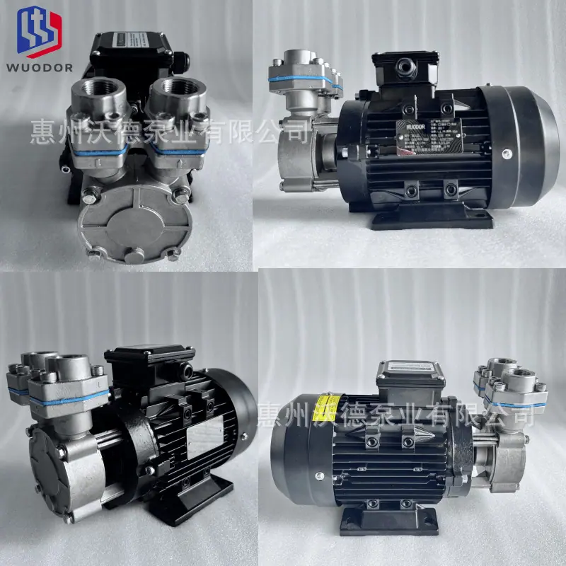 WD-20正法兰款泵17