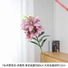 Flores de Lírio de Madeira com Pétalas Grandes São Exibidas na Sala de Estar com Vários Arranjos Florais Combinados com Peças Decorativas Suaves e Arranjos Florais em Vasos na Entrada