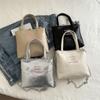 Bolso Pequeño Bordado Texchy Nuevo Modelo Primavera Verano 2024 Bolso de Mano Bolso Cruzado para el Hombro Bolso Cubo Casual Simple de Moda