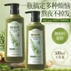 Qiwitang Champú Hidratante Anticaída Control de Grasa Cabello Esponjoso Nutritivo Hoja de Platycladus Champú Herbal Fabricante Stock Disponible