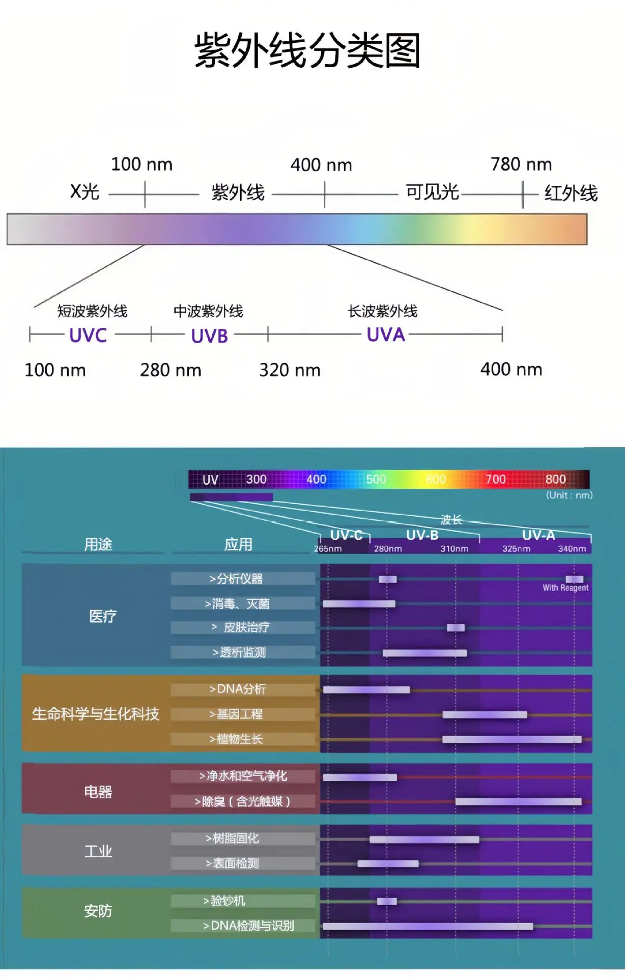 浙江3030紫光灯珠球头平面led光固化385nm365nm紫外光手电筒杀菌诱蚊生产厂家