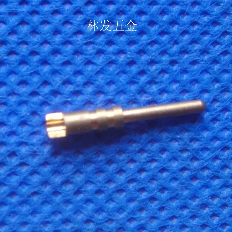 DSC04734.JPG