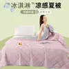 Comércio Exterior Transfronteiriço Xiyin Temu Colcha Popular de Verão com Sensação Refrescante, Seda de Gelo, Cor Sorvete, Colcha de Verão Lisa, Colcha Fina para Ar Condicionado