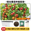 Maceta para plantar verduras en balcón, caja de plantación de verduras de autorriego, para personas perezosas, rectangular, para plantar cebolla, maceta de plástico para flores, interior, anillo de resina, envoltorio