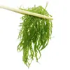 Verdura Barba de Dragón Plato Frío Ingrediente para Hot Pot 2.5kg / 1.0kg / 0.5kg Especialidad de Shandong Plato Frío Algas Marinas Algas Marinas Algas