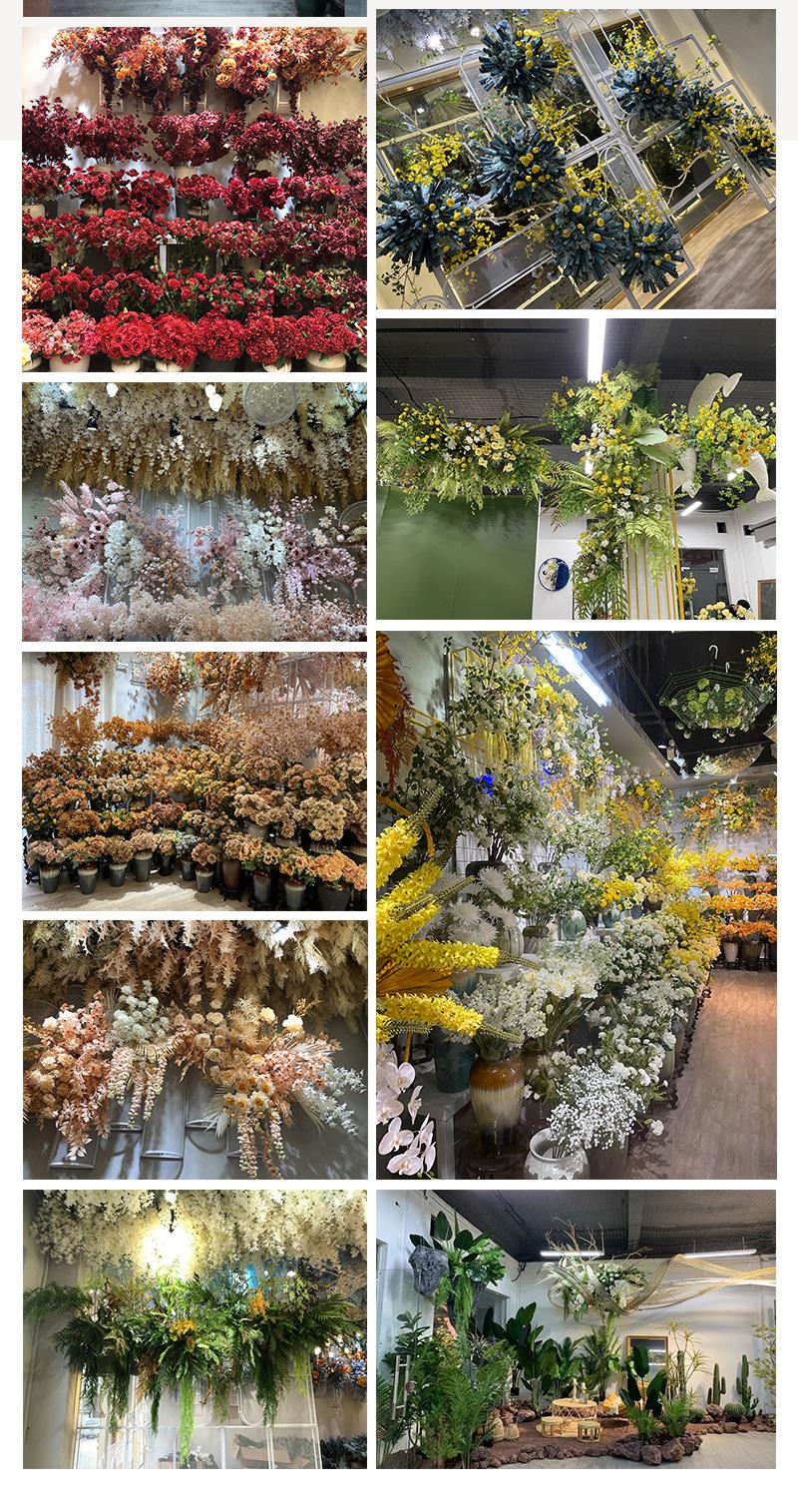 中号飞燕草-详情_01_04.jpg