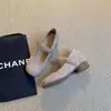Sapatos de Salto Único Versáteis de Veludo para Mulheres, Novo Estilo de Fada Francesa Primavera 2026 Sapatos Mary Jane de Bico Redondo, Confortáveis