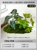 Musgo para Paisajismo de Plantas Verdes Plantas Artificiales Decoración Flores Artificiales Combinación Tropical para Interiores Paisaje de Ventana Persa Arreglo de Césped