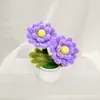 Producto Terminado Más Vendido Transfronterizo: Linda Planta en Maceta de Flor de Cerezo y Crisantemo, Regalo para el Día del Maestro, Regalo para el Día de la Madre, Regalo de Decoración para el Hogar