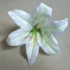 Flores de Lirio de Seda Artificial Cabeza de Flor de Lirio para Boda 18cm Arco de Lirio Falso Decoración Flores Falsas Mayoreo