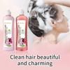 Champú de Cebolla, Biotina y Romero Champú de Biotina y Romero Set de Cuidado del Cabello Personalizado de Fábrica