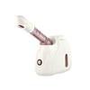 Vaporizador Facial de Vapor Caliente de Arroz Dorado Transfronterizo Vaporizador Facial Máquina de Pulverización Doméstica Hidratante Nano Limpieza de Poros Faciales Personalización