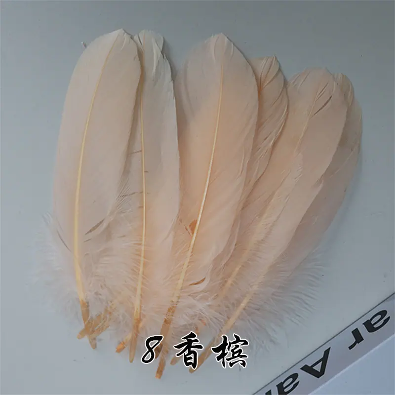8 香槟.jpg