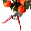 Tijeras de podar ramas, tijeras de podar ramas gruesas, tijeras para árboles frutales, flores, bonsáis, jardinería, flores, tijeras florales fuertes, tijeras para plantas.