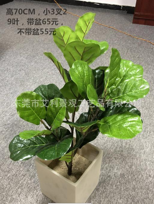 1524984847(1)_看图王