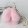 Fabricante Directo al Por Mayor Bolso con Orejas de Conejo Bolso Bandolera Bolso de Clip Cruzado Otoño e Invierno Bolso de Cadena