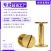 Tornillos de Libro H59 Completamente de Cobre con Remaches Macho y Hembra, Remaches Rectos y Ranurados para Encuadernación de Álbumes, Sujetadores de Enganche y Tornillos de Combinación para Encuadernación