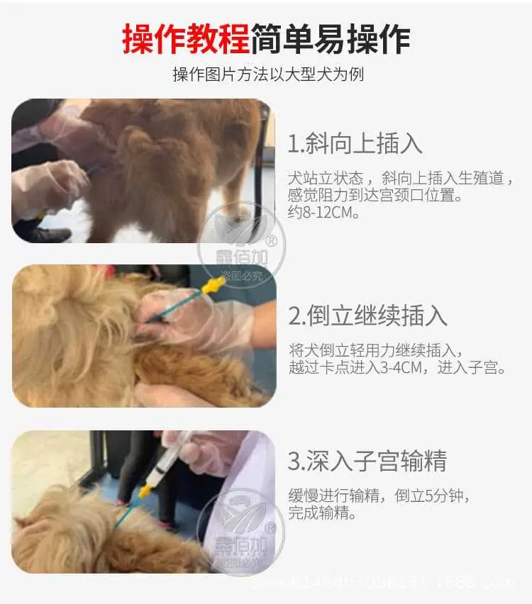 犬用输精管C详情页(5).jpg