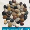 Tanque de Peixes de Aquário Paisagismo Areia de Fundo Decorativa, Areia de Ferro-Galha, Areia Preta, Areia Especial para Camarão Cozido, Areia de Galha Preta, Areia Preta para Aquário