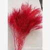 Lu Xuan Grama Flor Seca Flor Eterna Estilo Europeu Criativo Combinando Ornamentos Amor Adereços de Casamento Fotografia Celebração de Casamento
