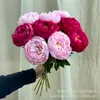 Flores Artificiales de Peonía Estilo Europeo para Sala de Estar Decoración del Hogar, Arreglos Florales, Fondos de Boda, Decoraciones de Flores Artificiales, Ramo de Flores Secas al por Mayor