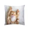 Funda de Cojín para Sofá Transfronteriza, Felpa Corta Amigable con la Piel, Linda Funda de Cojín de Animal Gato, Funda de Cojín para Sala de Estar, No Incluye Relleno