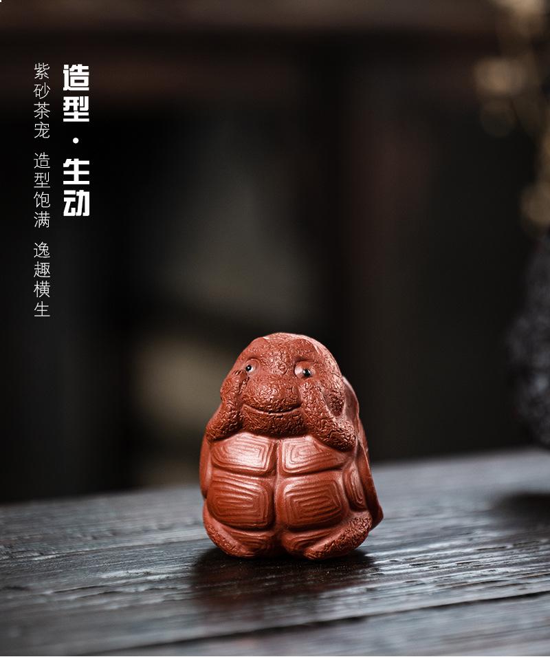 三不龟20220112 (23).jpg