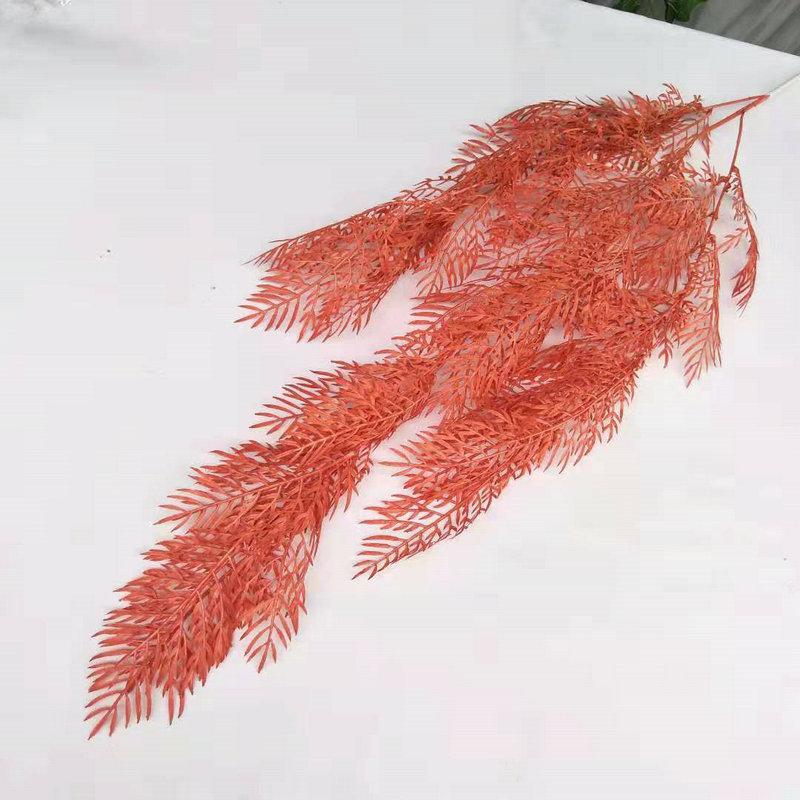 橘红