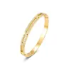 Serie de Pulseras con Baño de Oro Real, Circonita, Modernas y Sencillas, Sensación de Alta Gama, Joyería Versátil, Personalización de Fábrica