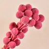 Bolas Doradas del Fabricante, Flores Naturales Reales, Materiales para Manualidades, Decoración del Hogar para la Sala de Estar, Arreglos Florales, Adornos de Flores Secas, Martillos Dorados