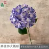 Hortênsia Grande Única 3D, Hortênsia Multicolorida, Arranjo de Flores para Salão de Banquetes de Casamento Estilo Pastoral, Flores Artificiais para Paisagismo de Hotel