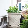 Maceta Antigua Romana Personalizada de Resina Plástica Imitación Piedra Flor Antigua Estilo Europeo Maceta para Plantar Petunia Rosa
