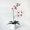 Comercio Exterior Venta Caliente Realista Planta en Maceta Phalaenopsis de 9 Flores Hotel Boda Decoración de Exhibición en el Suelo Flor Artificial Planta Verde Bonsái