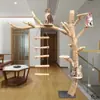 Estrutura de Escalada para Gatos com Pilares de Madeira Árvore Falsa Plataforma de Salto para Gatos Rattan Sintético Poste Arranhador para Gatos Coluna Suspensa Forma de Árvore Moedor de Garras de Árvore Arranhador para Gatos Buraco na Árvore