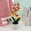 Nueva Piedra Flor de Lluvia Bonsái de Phalaenopsis de 7 Flores Fotografía Arreglo de Fotos Flor Artificial en Maceta Decoración Hogareña Sala de Estar Planta en Maceta