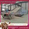 Secador de trigo sarraceno dourado com cinto de malha grande equipamento de secagem automático de trigo sarraceno amargo Punho de Ferro secador de medicamentos