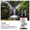 Exportación Transfronteriza Aceite Esencial Individual Fragancia Aromaterapia Masaje Aceite Esencial Sándalo Difusor Mayoreo Muestra de 10 ml