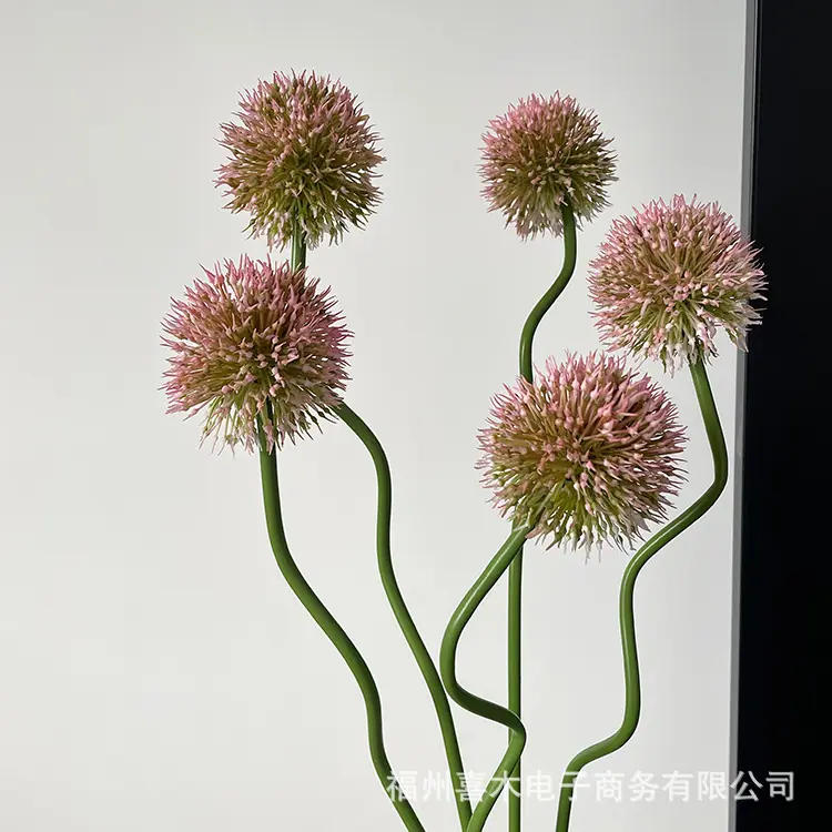photo-output_5 2.JPG