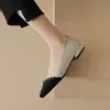 Sapatos Femininos Apontados de Boca Rasa Tamanho 32-43, Sapatos de Salto Baixo Pequenos Estilo Chanel, Sapatos Femininos de Cano Baixo Color Block, Sapatos de Exportação