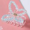 Pinza de Garra de Mariposa con Pedrería Estilo Coreano de Celebridad de Internet con Encaje de Colores, Versátil para Peinar el Cabello en la Parte Trasera de la Cabeza, Pinza de Garra para Cola de Caballo para Mujeres