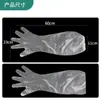 Guantes Desechables de Champú CPE Guantes de Plástico Transparente para Limpieza de Cocina Guantes para Champú en Salón de Belleza Guantes para Teñido de Cabello