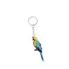 Llavero Acrílico Entusiasta de Loros Decoración de Llavero Regalo Listo para Stock Transfronterizo Llavero de Loro