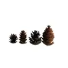 Pinhas Plásticas Simuladas, Pinhas Falsas, Decorações de Natal, Acessórios, Acessórios Artesanais DIY