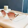 Gafas de Sol de Moda en el Mismo Estilo que las Celebridades Europeas y Americanas, Gafas de Sol Retro a la Moda, Gafas de Sol Versátiles Únicas y de Moda Ojo de Gato
