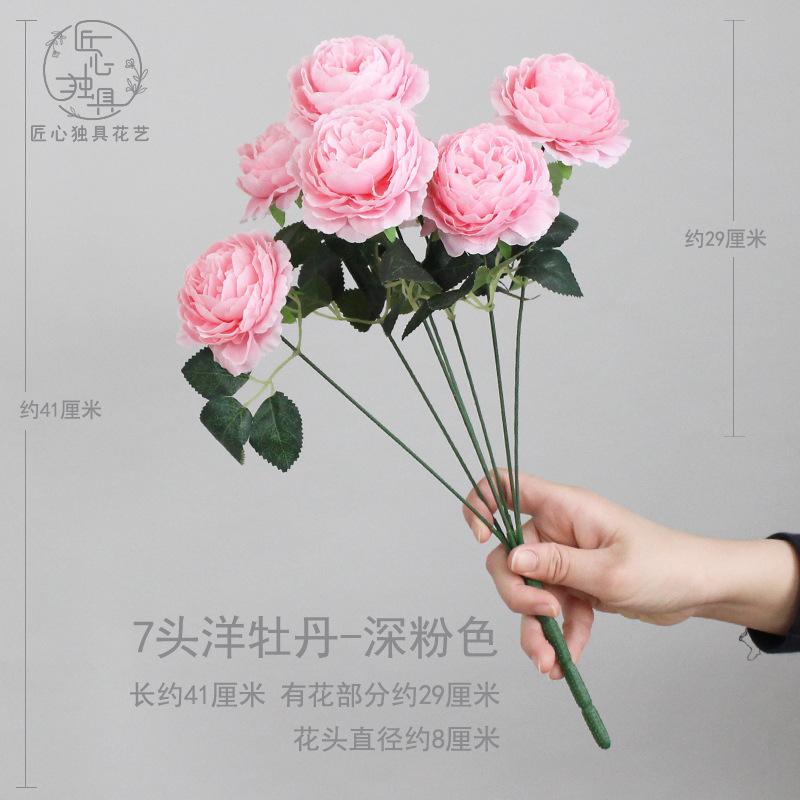 7头洋牡丹-深粉色