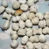 Acessórios de Frutas Marfim Defeituosos, Artesanato em Forma de Coelho e Lingote, Pulseiras Feitas à Mão DIY, Joias da Moda