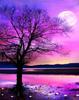 Pintura de diamantes 5D de Amazon, con diseño de atardecer, luna, planta, árbol y paisaje, pintura decorativa DIY, fabricantes, venta al por mayor, superventas