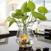 Vaso de vidro hidropônico pothos vaso de planta hidropônica criativo vaso de flor de planta hidropônica recipiente transparente pothos cultivado em água arranjo de flores estilo country americano